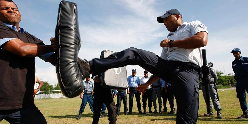 Seguridad Profesional